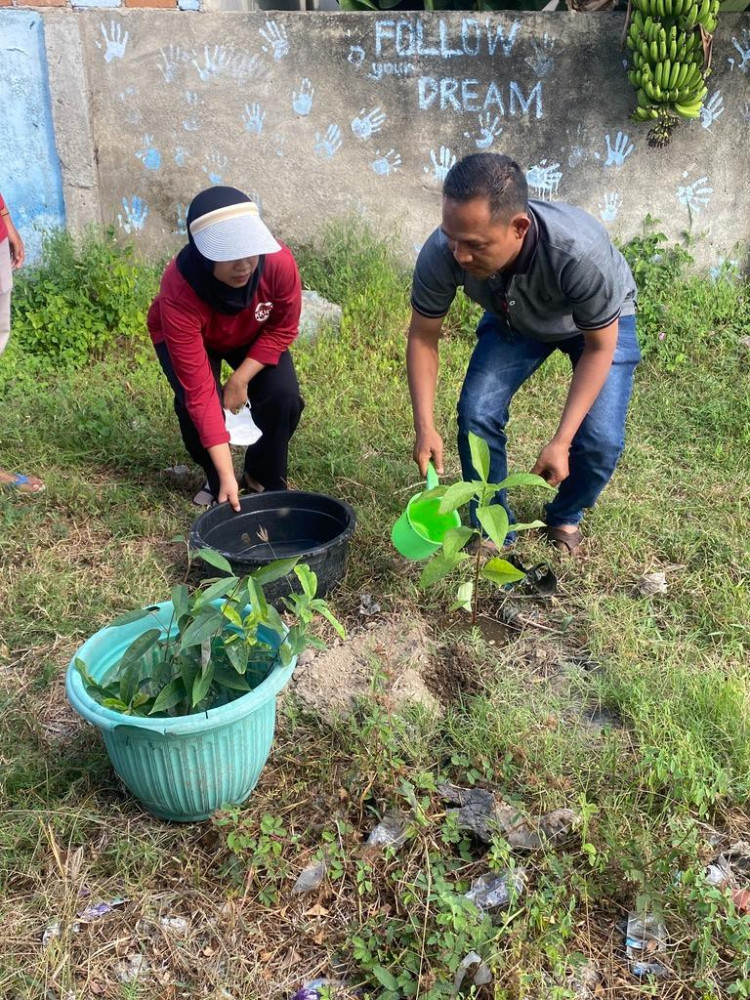 PENANAMAN POHON OLEH KKN STIE TEMATIK AMM di DESA KEDIRI SELATAN