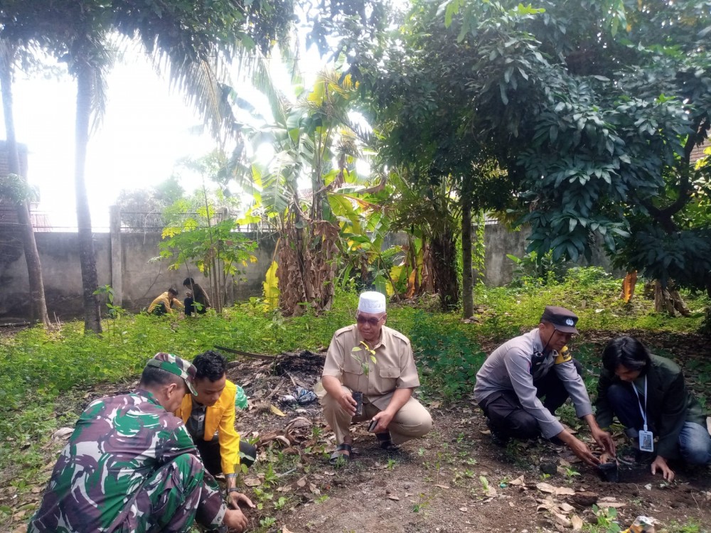 MAHASISWA KKN STIE AMM MATARAM DAN KKN MAHASISWA MAHAD INSTITUT AGAMA ISLAM NURUL HAKIM TANAM BIBIT BUAH RAMBUTAN DI DESA KEDIRI SELATAN